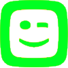 icon 0